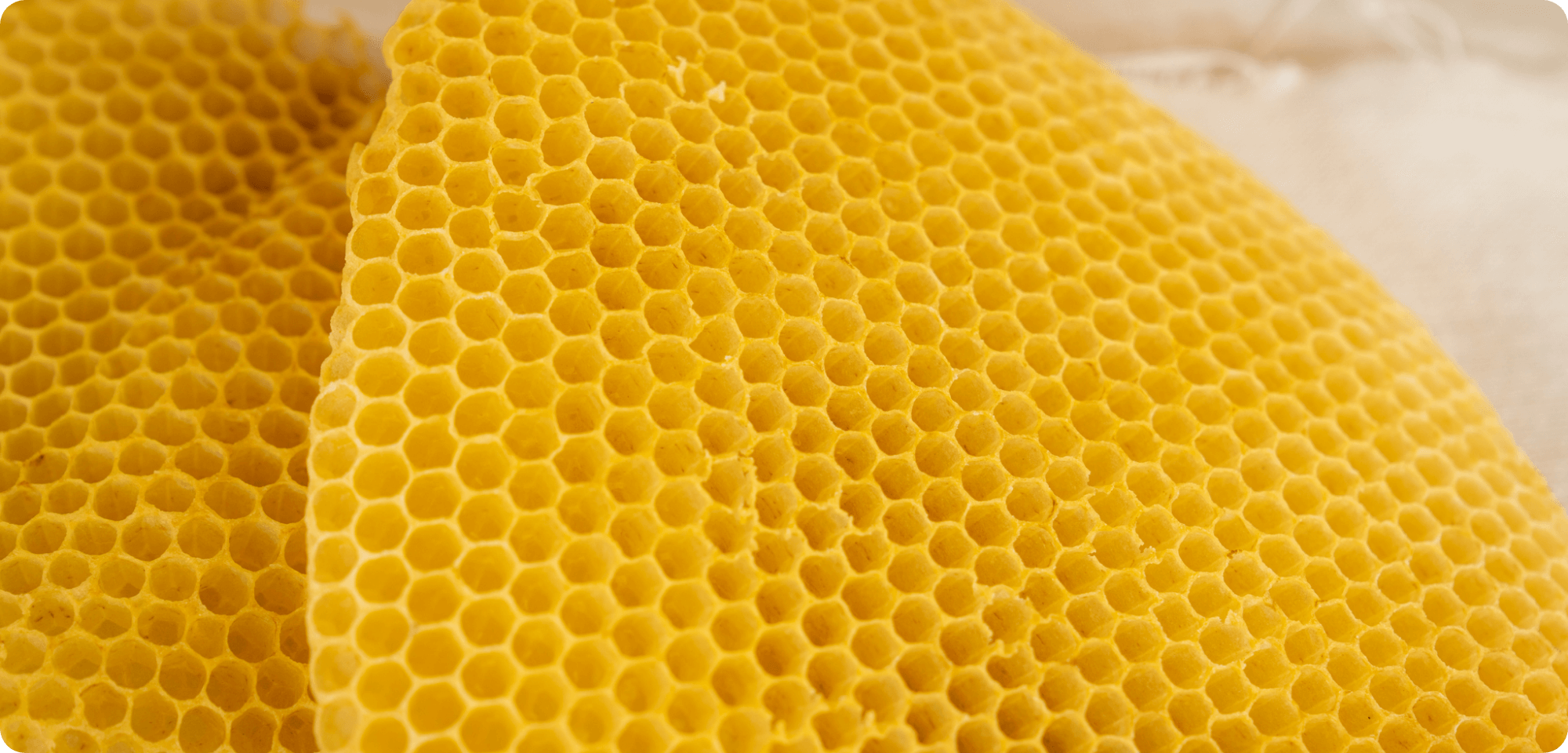 養蜂家が自社生産している品質性に優れたミツロウだけを厳選し、惜しみなくたっぷりと使用